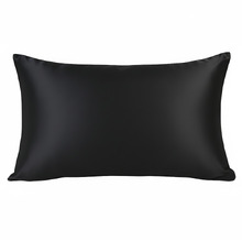 Mulberry Silk Standard Pillowcases (Set of 2)